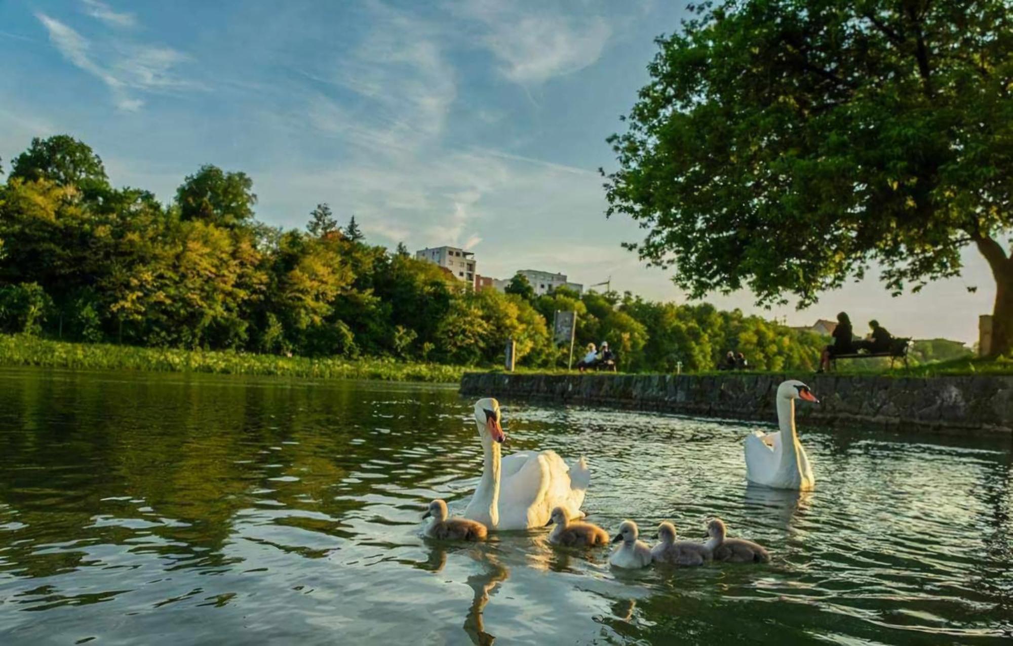 Apartment Dolce Vita Maribor Eksteriør billede