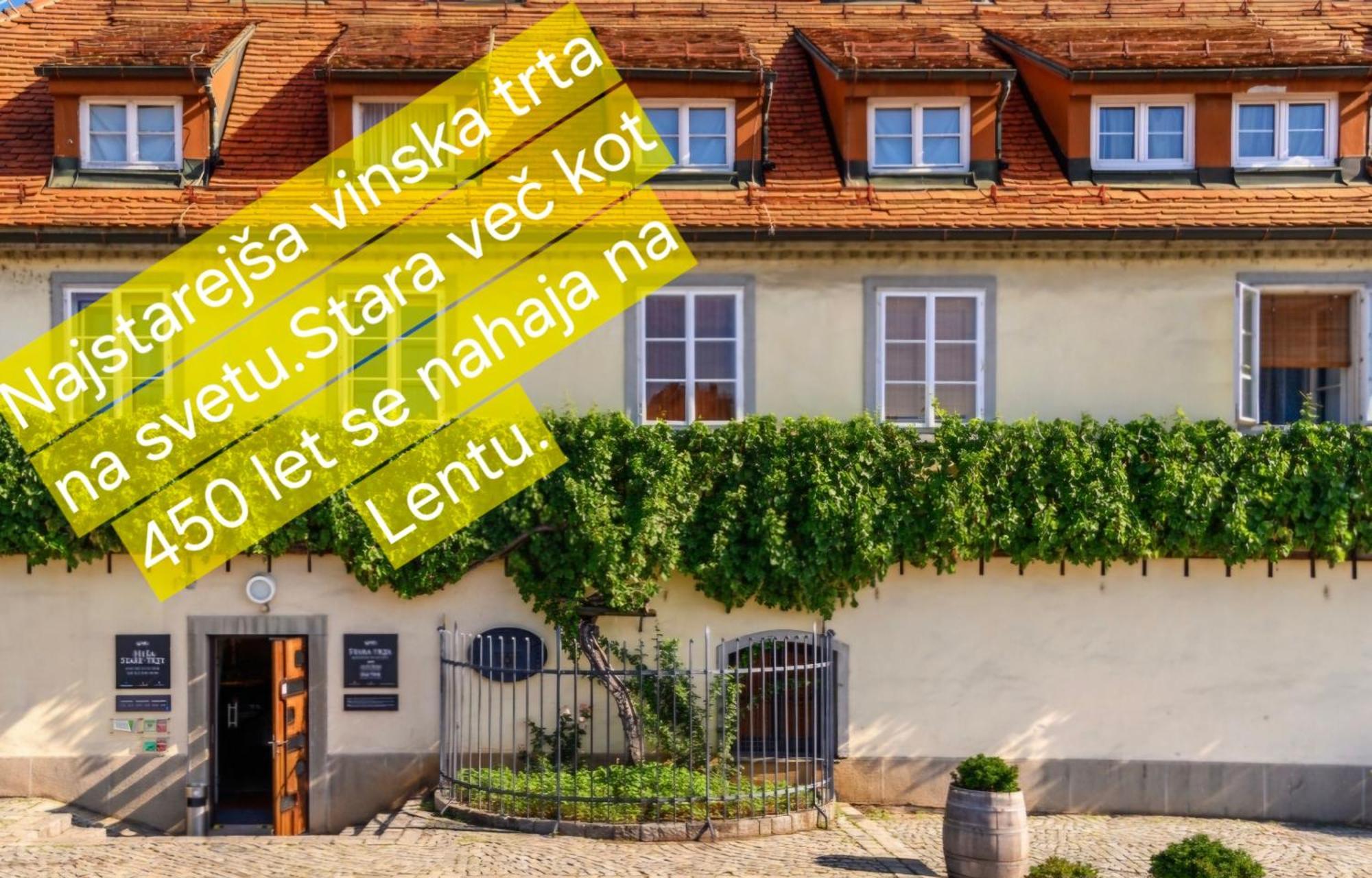 Apartment Dolce Vita Maribor Eksteriør billede